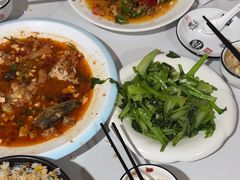 -煲来饱去冷水鱼