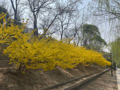 -元大都城垣遗址公园