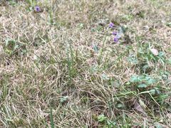 -武汉华夏国际影城(鲁广店)