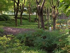 -陈家山荷花公园