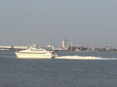 -大湾区中央湿地公园