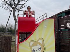 -田园东方蜜桃村的田野营地