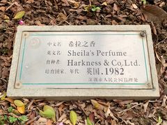 -人民公园(罗湖区)