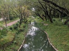-北坞公园