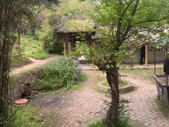 -盛世牡丹苑生态文化旅游区