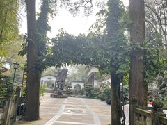 -南山植物园