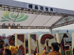 -重庆市江北嘴中央商务区中央公园