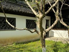 -扬州市茱萸湾风景区