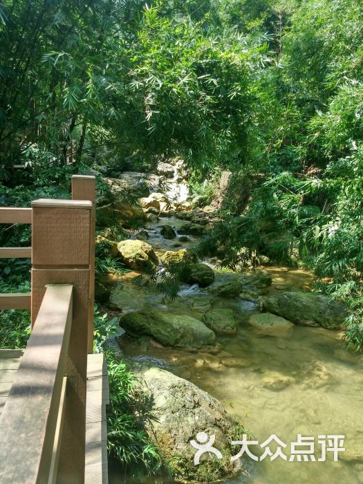 西岸茶山庆云洞图片