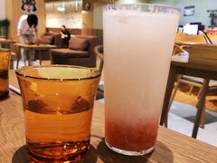 -柴务处·柴犬主题狗咖