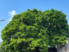 -蔡社牛肉城(龙湖店)