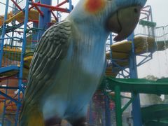 -苏州乐园森林水世界