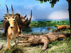 -国家自然博物馆