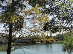 -岳麓山风景名胜区