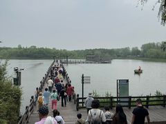 -溱湖国家湿地公园