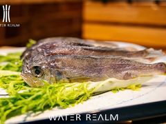 -水王国温泉水世界