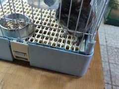 -上海大自然野生昆虫馆(东方明珠·爬宠昆虫探索中心)