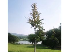 -钟山体育运动公园