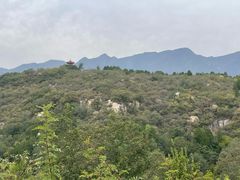 -白水寺森林公园