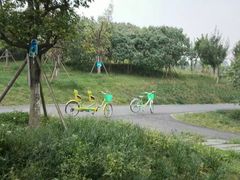 -白鹭湾湿地公园