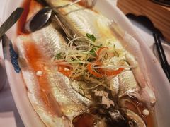清蒸太湖白鱼-翡翠江南(国贸商城店)