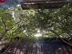 -南京市民俗博物馆(甘熙故居)