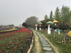 -荷兰花海