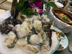 -金龙·打边炉(南京西路店)