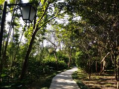 -福建鲤鱼洲酒店