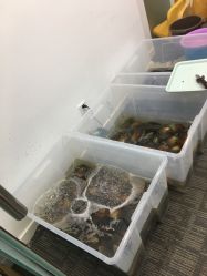 -邵老师打金·黄金加工(大望路总店)