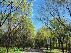 -东郊湿地公园