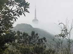 -梧桐山风景名胜区