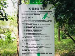 -西湖风景区-江洋畈生态公园