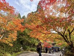 -三千院