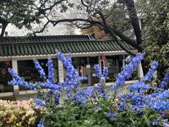 -荔湾湖公园