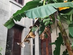 -厦门邮轮中心厦鼓码头(轮渡站)