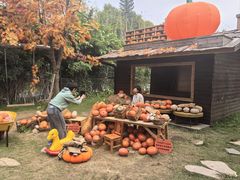 -HERRE·FARM 赫尔露营农场·团建聚会包场