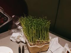 -海底捞火锅(新松江路店)