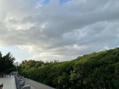 -福田红树林生态公园