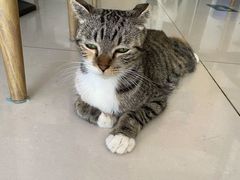 -平行世界·猫咖(首经贸店)