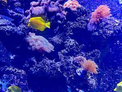 -海合安天津极地海洋公园
