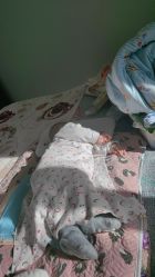 -妙姿产后修复中心(大郊亭店)