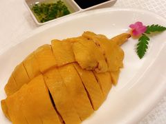 白斩鸡-金时代顺风大酒店(汇银广场店)