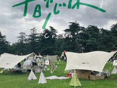 -上海共青森林公园