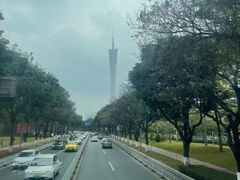 -广州都市观光巴士(粤陶巴)