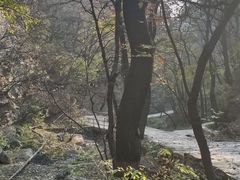 -北京上方山国家森林公园