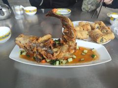 -青龙潭鱼庄