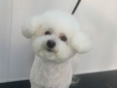 -北京恒爱动物医院(清景园分院)