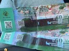 -日照海滨国家森林公园