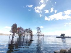-大理洱海